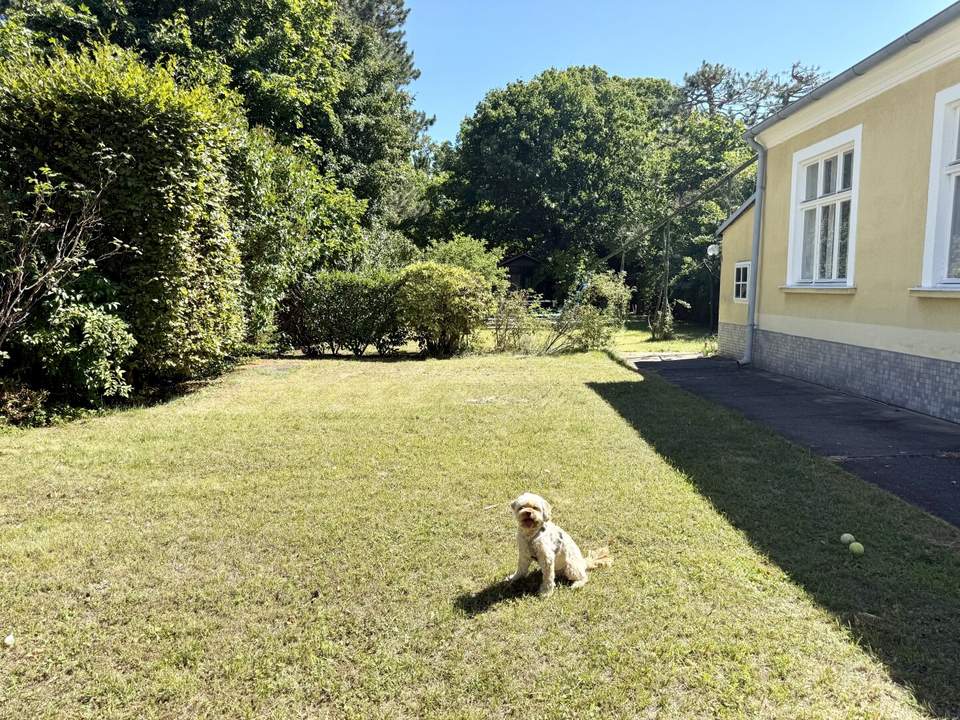 Altbauvilla - absolute Grünruhelage - 2 getrennte Wohneinheiten - 1.100 m² Garten mit Pool