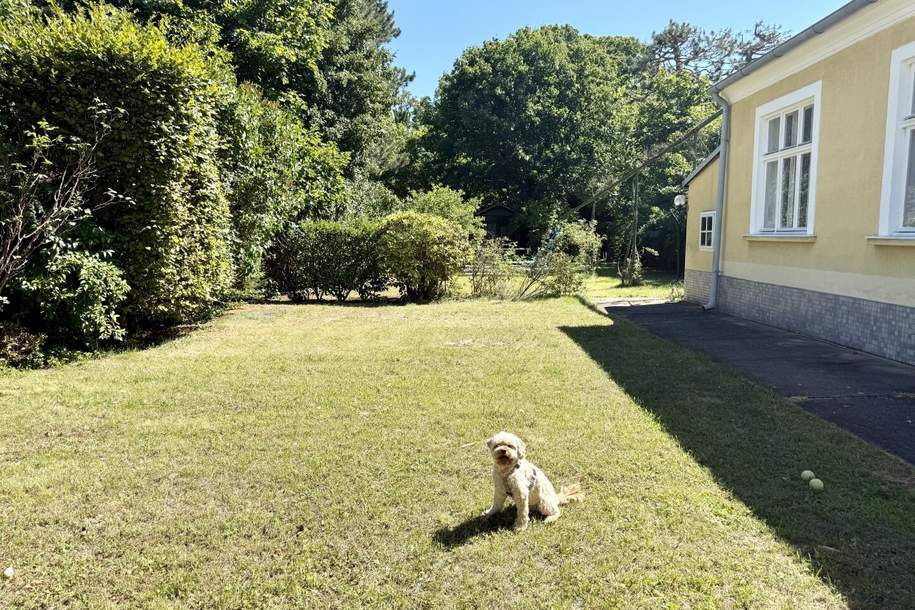 Altbauvilla - absolute Grünruhelage - 2 getrennte Wohneinheiten - 1.100 m² Garten mit Pool, Haus-kauf, 1.690.000,€, 1130 Wien 13., Hietzing