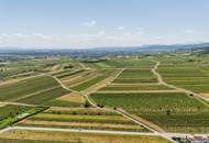 "Gumpoldskirchen nach Deinem Geschmack!“