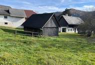 Historisches Bauernhaus