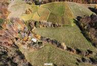 Weingarten mit Landwirtschaft in Kranach, Gemeinde Gamlitz ( ZONE III )