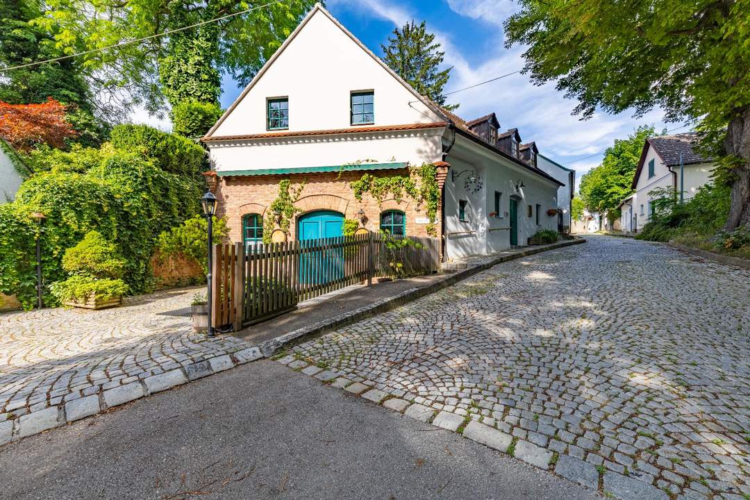 Charmanter Weinkeller mit Wohnung und Terrasse in Top-Lage!