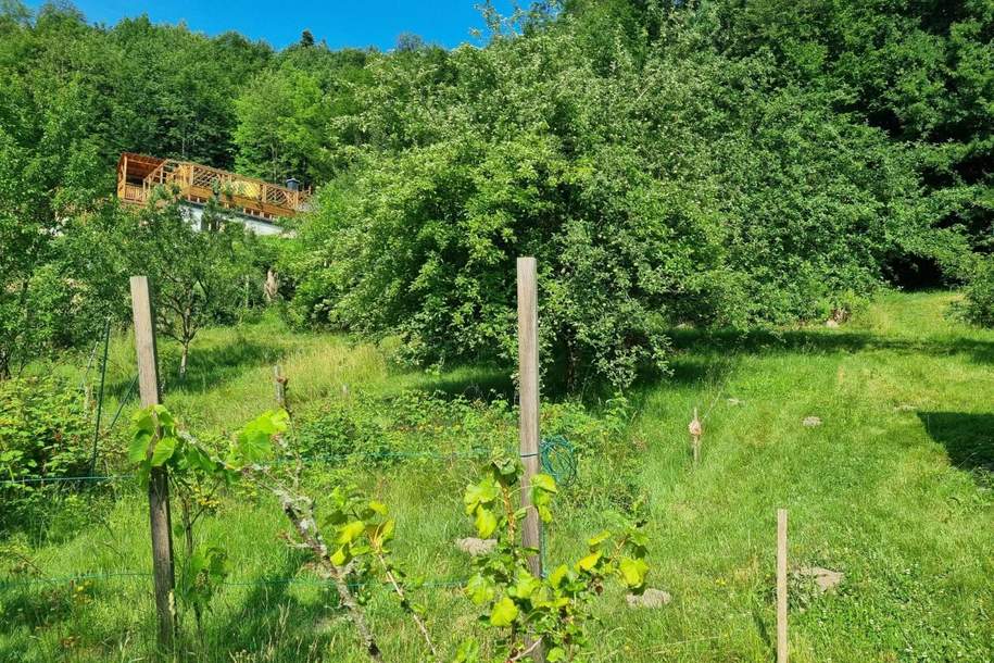"NEUER PREIS!" AN DER SONNENSEITE AM WALDRAND!, Grund und Boden-kauf, 235.000,€, 3021 Sankt Pölten(Land)