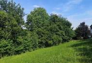 Sonniges Baugrundstück mit Aussicht im Naturpark Pöllauer Tal - nahe Hartberg