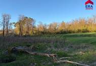 Freizeitgrundstück in Gaweinstal – ruhige Grünlage mit viel Natur und Entwicklungspotenzial