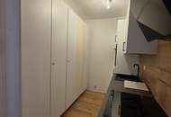 Modern sanierte Garçonnière mit schöner Aussicht auf Traunstein und Traunsee