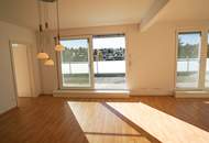 Sonnige 4 Zimmer-Penthousewohnung mit großer Terrasse!