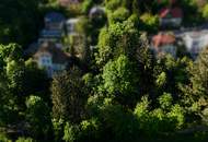 Mitten im Grünen und trotzdem in Wien – Südseitiges Baugrundstück in idyllischer Waldrandlage