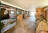 Charmantes Wohn- und Reiterensemble auf ca. 5.270 m² – Ihr privates Refugium im Seenland