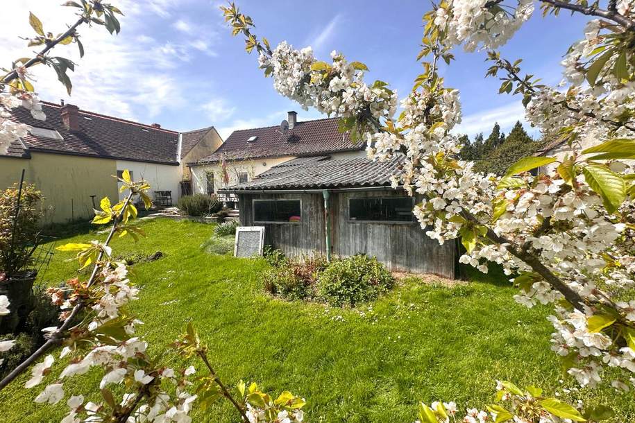 Ein Paradies auf dem Land – Haus mit viel Charme und Platz!, Haus-kauf, 159.000,€, 2130 Mistelbach