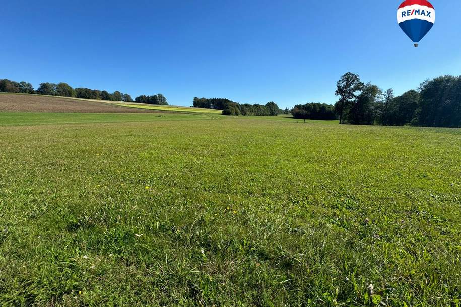 Wiesengrundstück in Stroheim, Gewerbeobjekt-kauf, 34.900,€, 4074 Eferding