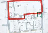 PREISREDUKTION! 126m2 Büro/Kanzlei/Praxis in frequentierter Lage, im Zentrum von HORN zu mieten!