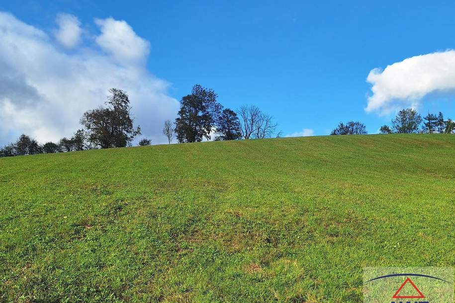 Wiesengrund: Möglichkeit für landwirtschaftlich nötige Gebäude (+ angrenzender Baugrund optional)!, Grund und Boden-kauf, 8162 Weiz