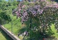 3 Zimmer-Wohnung mit Garten in den grünen Innenhof