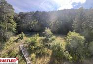 Exklusives Dachgeschoss - Ihr Logenplatz inmitten der Natur