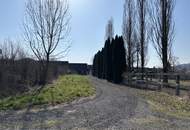 Streckhof mit begrüntem Innenhof mit diversen Lagermöglichkeiten und Garage