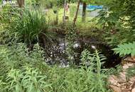 Wohnen im schwedischen Stil im traumhaften Südburgenland!