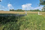 Großer Grund - Bauland Misch + GHg – 4134m² um nur 150.000 €! Gewerbe + Wohnen + Garten