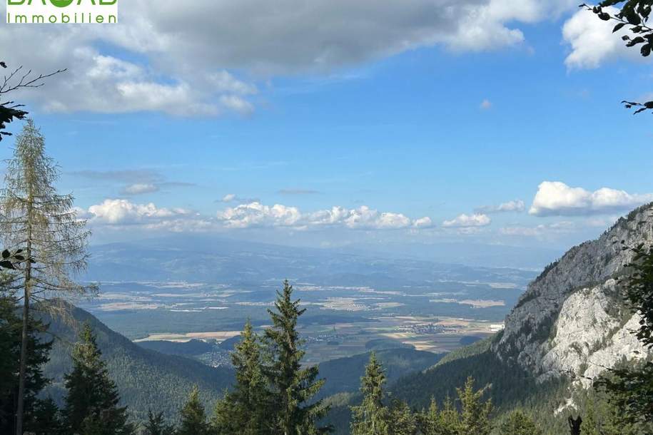 NEUBAUCHALET IN PETZEN-NÄHE | FREIZEITWOHNSITZ | 1200m HÖHE | PANORAMABLICKE | NATURSTAMMHAUS KANADA, Haus-kauf, 342.000,€, 9143 Völkermarkt