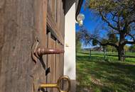 Rarität "Vierkanter" direkt neben dem Golfplatz