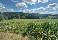 Landwirtschaftliche Nutzflächen in Großsulz bei Kalsdorf zu kaufen!