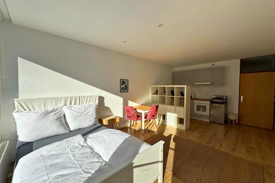 SCHÜLERWOHNUNG | Voll möbliertes Apartment | BAD ISCHL, Wohnung-miete, 650,00,€, 4820 Gmunden
