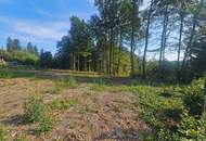 "In Kaufabwicklung!" SCHÖNES, SÜDSEITIGES GRUNDSTÜCK IN WALDRANDLAGE