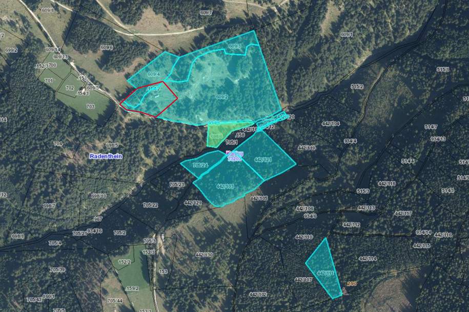 9ha Waldfläche in Kaning, Grund und Boden-kauf, 195.000,€, 9545 Spittal an der Drau