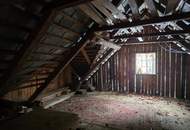 Zwei sanierungsbedürftige Häuser in absoluter Ruhe/Alleinlage