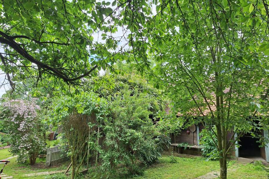 Edlitz: Großzügige Liegenschaft für Individualisten, Haus-kauf, 169.000,€, 7474 Oberwart