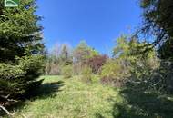 Aus alt mach neu - Historisches Einfamilienhaus in Alleinlage am Hügel in Bad Großpertholz mit großem Garten - JETZT ANFRAGEN