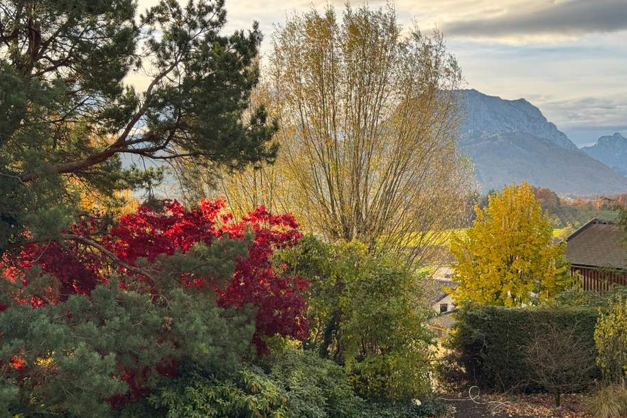 Wohnen und Arbeiten mit Weitblick!, Haus-kauf, 1.190.000,€, 4694 Gmunden