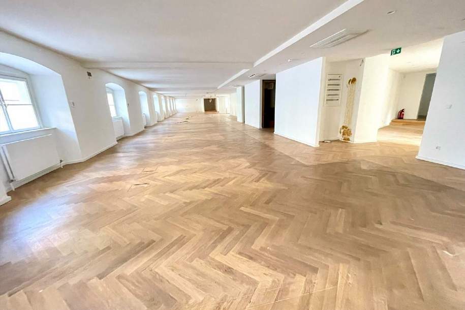 Repräsentative Büroetage im Herzen Wiens zu mieten: Arbeiten im geschichtsträchtigen Palais Harrach, Gewerbeobjekt-miete, 36.235,92,€, 1010 Wien 1., Innere Stadt