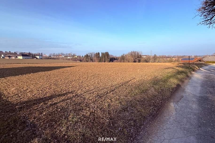 Betriebsbaugrund in attraktivster Lage!, Grund und Boden-legalform.pacht, 2.958,00,€, 4551 Kirchdorf an der Krems