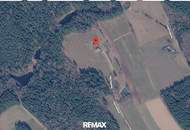 Waldviertler Alleinlage! 1,7 ha exklusives Naturrefugium mit neuem skandinavischem Blockhaus, Pool und Nebengebäuden