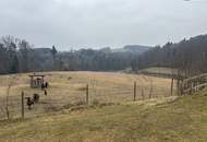 ++ SELTENE GELEGENHEIT ++ GENIAL für PFERDEHALTUNG ++ BAUERNHOF mit ca. 7 HA Landwirtschaftlicher Fläche und Wald ++ NEBENGEBÄUDE++ NÄHE GRAZ++