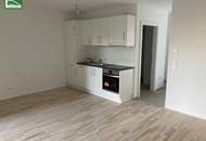 3 -Zimmer-Wohnung mit großer Freifläche - Smart wohnen in der Waagner-Biro-Straße!