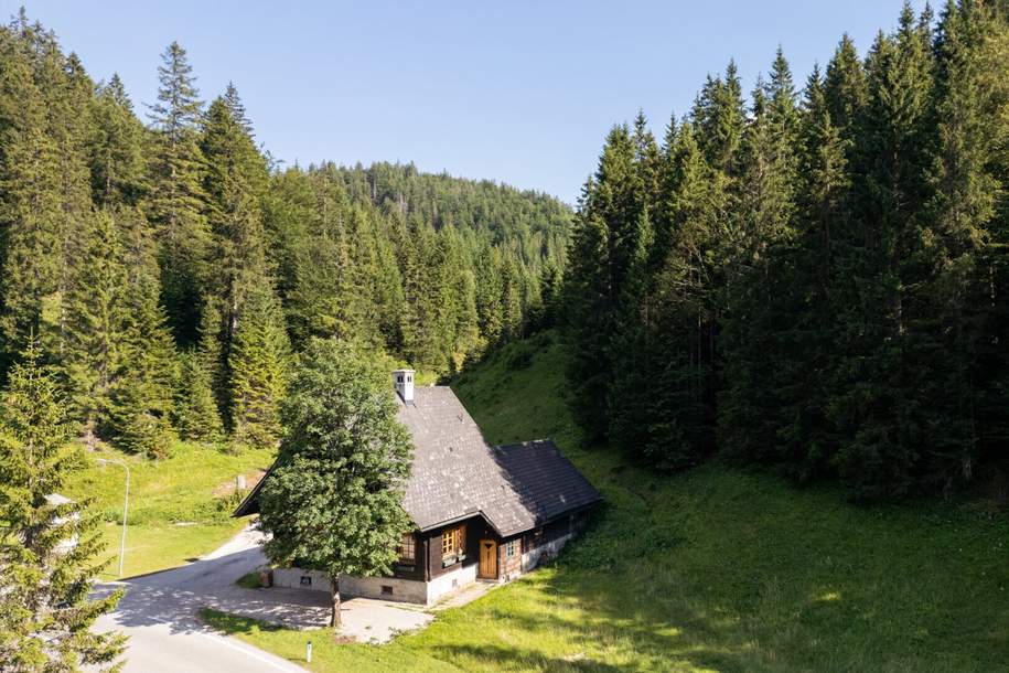Uriges Forsthaus am Zellerrain, Haus-kauf, 165.000,€, 3294 Scheibbs