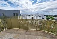 Familienhit in Grünlage