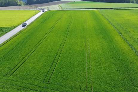 Hochwertiger Acker unweit von Artstetten und Unterbierbaum, Grund und Boden-kauf, 70.945,€, 3661 Melk
