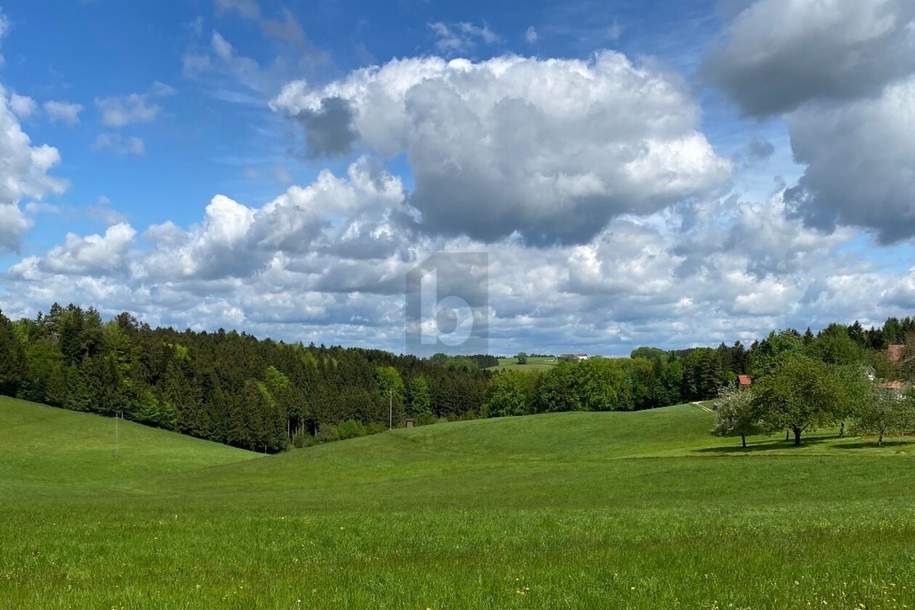 LEICHTE HANGLAGE MIT TRAUMAUSSICHT IN DIE NATUR, Grund und Boden-kauf, 85.000,€, 5241 Braunau am Inn