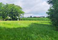 Idylle PUR! Kein Trubel - nur NATUR!
