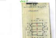 Naturnah & ruhig: Grundstück mit Altbestand in Spattendorf - Gemeinde Alberndorf in der Riedmark (GST 2438/1)