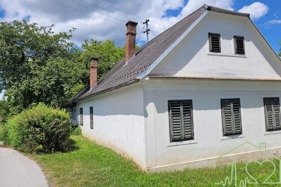 Burgenländischer Streckhof mit viel Potential - 1679 m² Grundstück BW in Kemeten!, Haus-kauf, 100.000,€, 7400 Oberwart