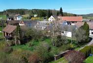 kleines leistbares Haus mit verträumtem Garten möchte neu erstrahlen