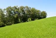 Baugrundstück mit toller Aussicht in Neustift