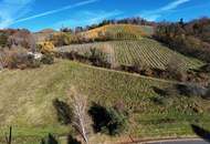 Altbestand mit Potenzial in Kranach, Gemeinde Gamlitz