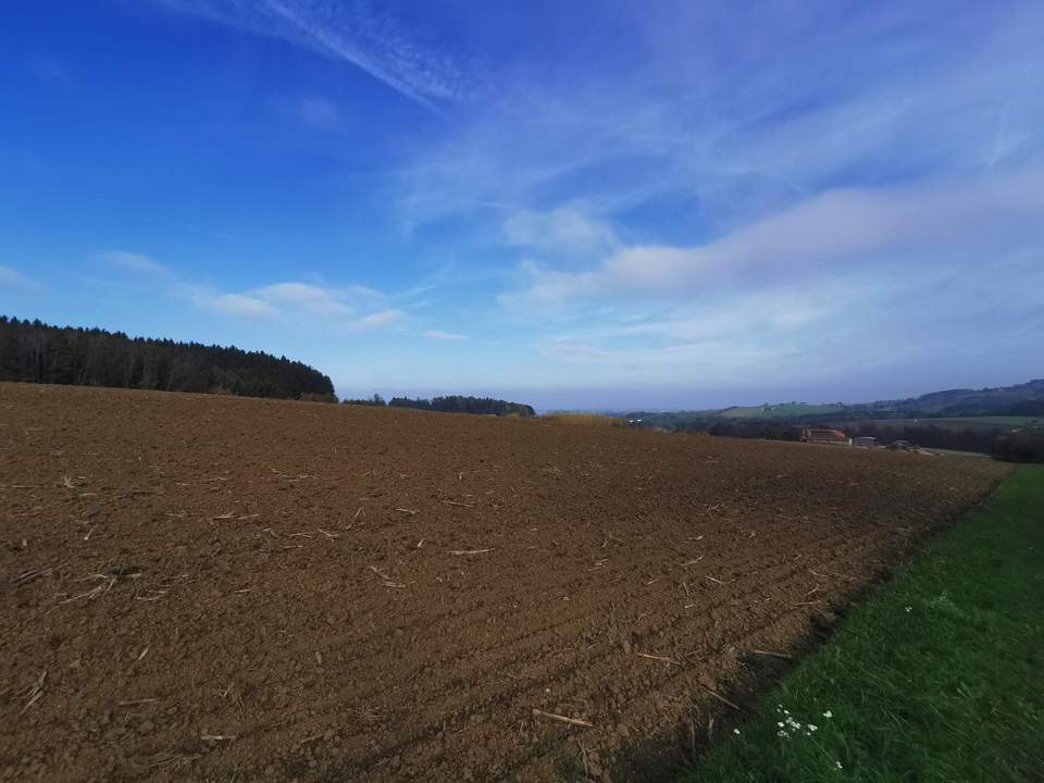 ca. 9 ha Ackerflächen zuzügl. 2 ha Grünland in Weistrach zu verkaufen