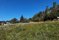 WOHNTRÄUME! 3 sonnig und ruhig gelegene Bauparzellen auf leichtem Südhang im schönen Köttmannsdorf