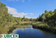 DIREKTBESICHTIGUNG - Mit dem Penthouse - Lift heimfahren ...